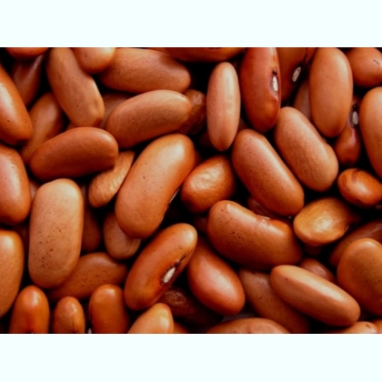 ������� �� ���������. � �������� ����� ������ ����� �����